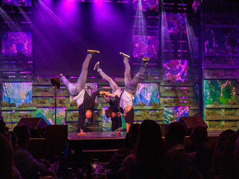 Tridiculous beim Grüne Soße Festival 2026