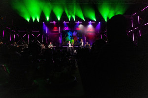 Foto: Hannes P. Albert